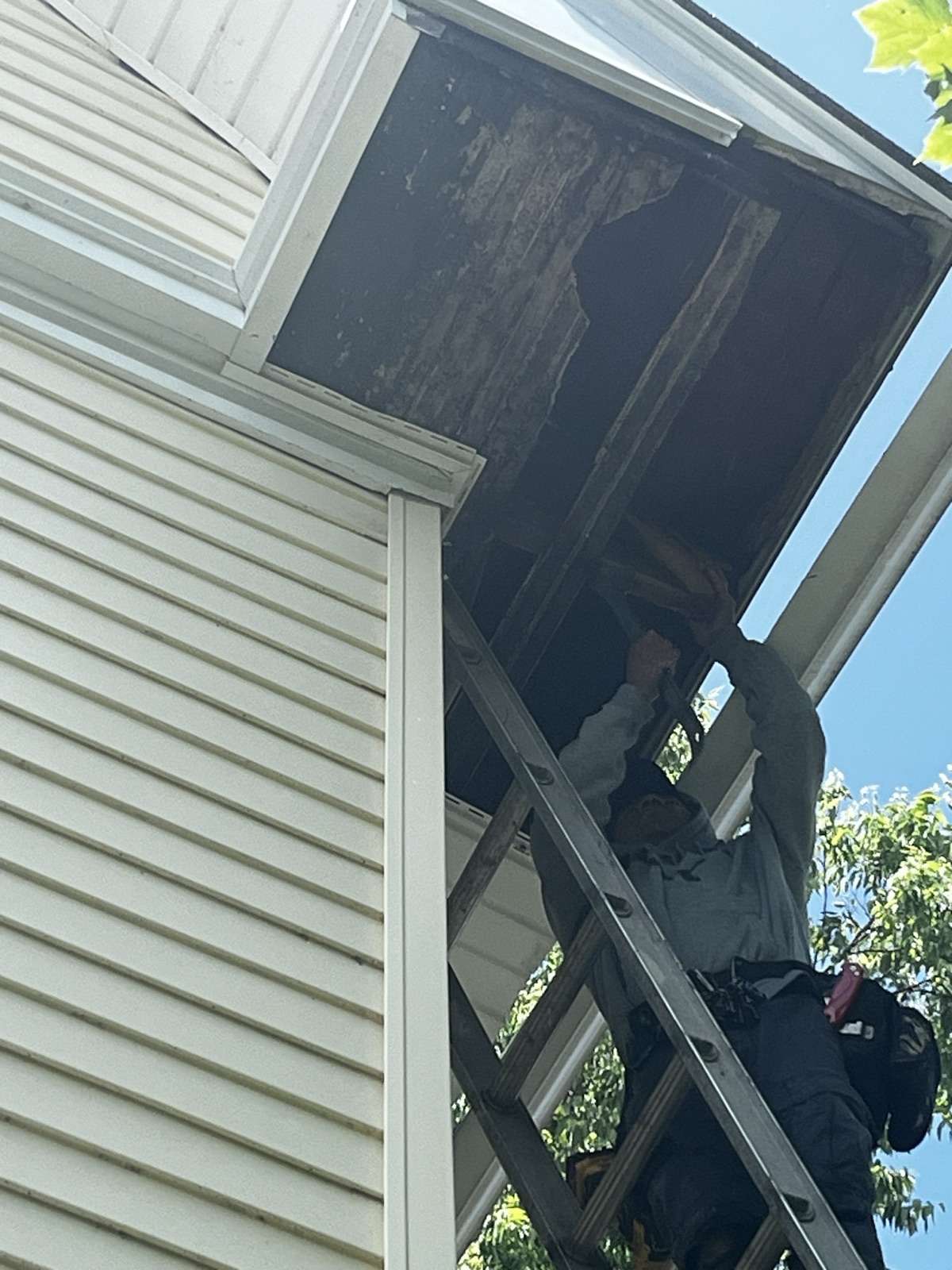 Wood Soffit Repair & Replacement detailed photo 1